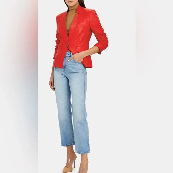 VERONICA BEARD
Farley Dickey Blazer - Picture 2 of 8